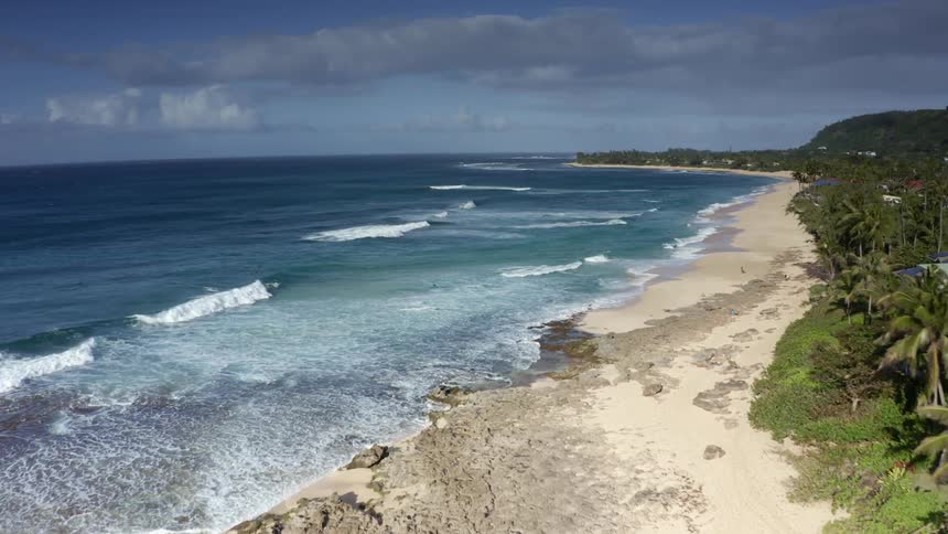 Waves roll across beach with trees and houses along the coastline