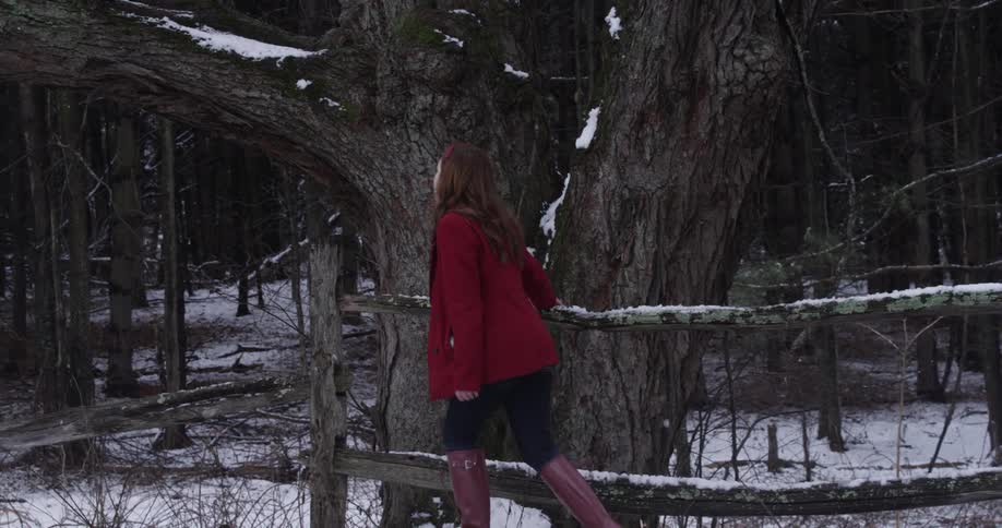A woman walks along a fence in heavy snow