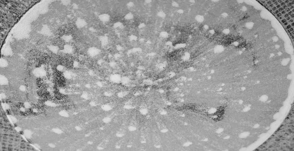 Abstract footage of water and bubbles and steam