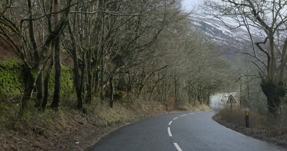 A road on a hill next to a forest with cars driving at the bottom of the hill