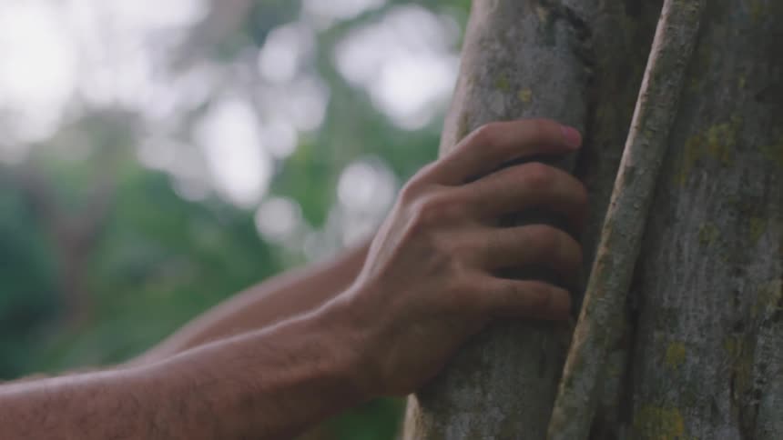 Man pushes against the tree to exercise in the park