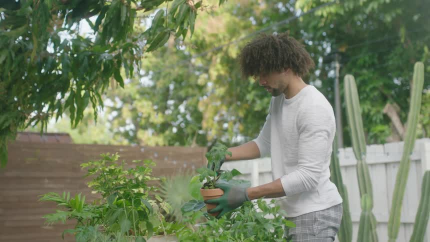 A man wearing gardening gloves putting soil into a potted plant next to other potted plants in a backyard garden during the day