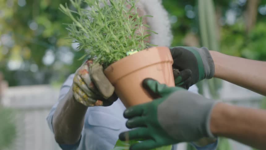A man and a woman with gloves in a backyard moving potted plants with trees the sky and clouds in the background