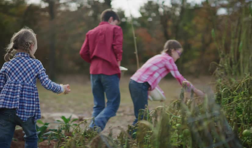 A boy and two girls in a garden picking vegetables with trees the sky and clouds in the background