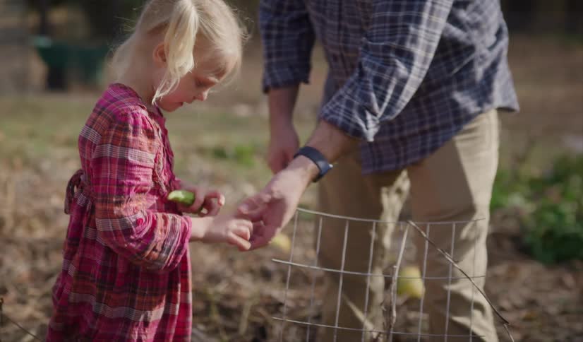 A girl picking fruit in a field