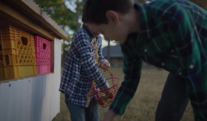 A boy helps his sister take eggs from a crate near the coop and place them in her basket
