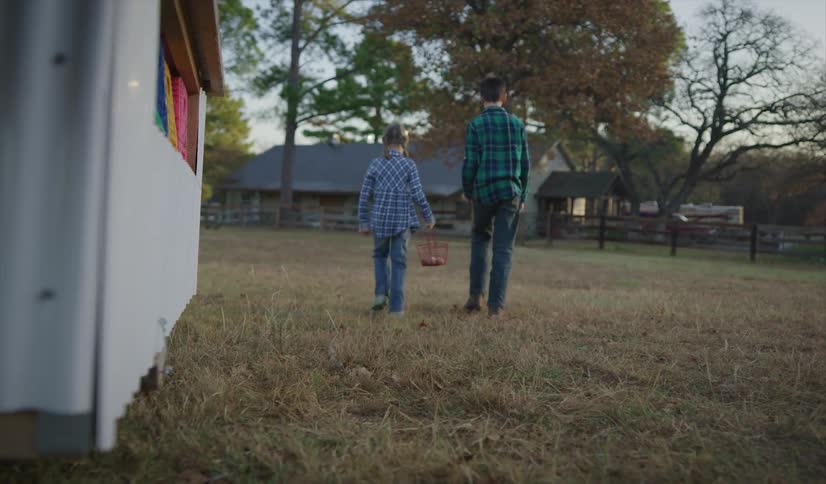 Brother and sister picking eggs on a basket in a farm
