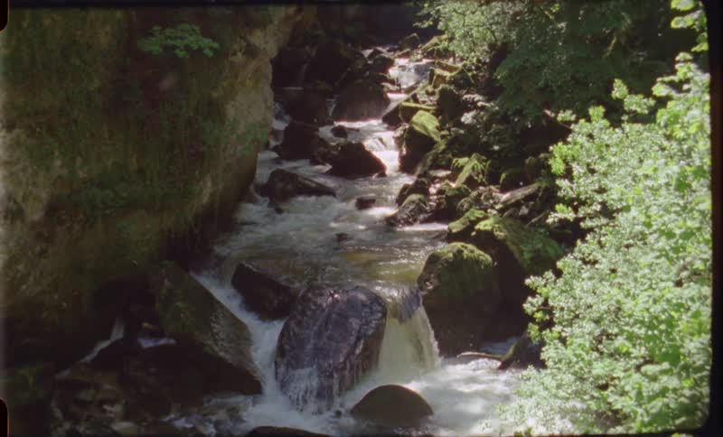 Footage of a river in a tropical area is displayed in spring
