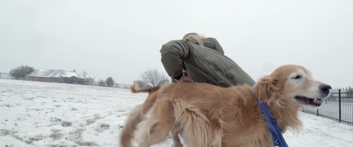 A woman plays with her dogs outside in the snow while holding a cell phone