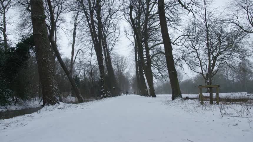 A bundled up pedestrian walks on a snowy trail through a park forest
