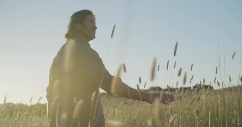 A man walking through tall grass alone in a rural field on a sunny day