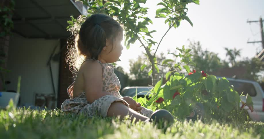 Toddler sits in yard near flowering plant looking around on sunny day