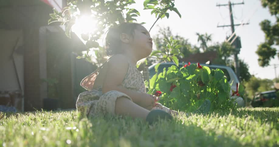 A toddler girl sits in the green grass in a home yard