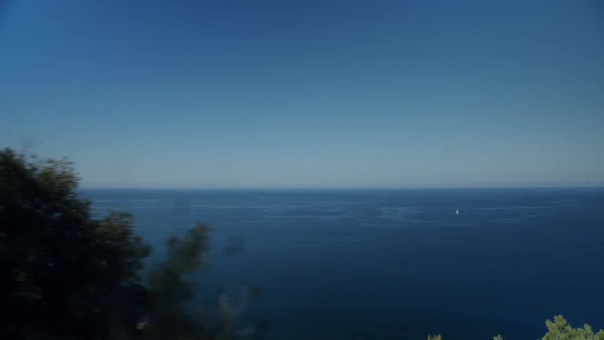Ocean stretches from forest covered slopes to the horizon