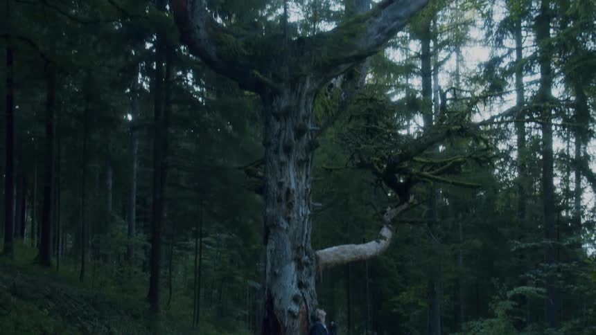 A woman is leaning against a tall tree