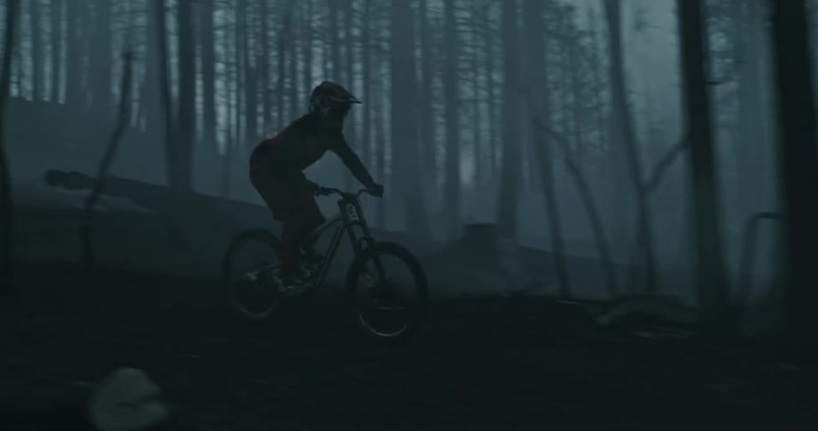 A person riding through a burnt out forest