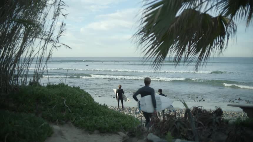 A group of surfers wearing wet suits carrying surfboards to the beach