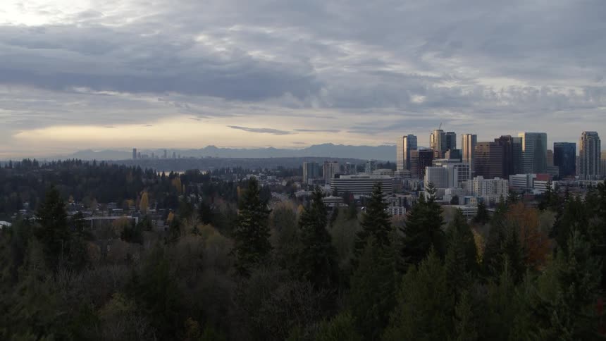 Sunset reveal of downtown Bellevue from behind a stand of pine trees