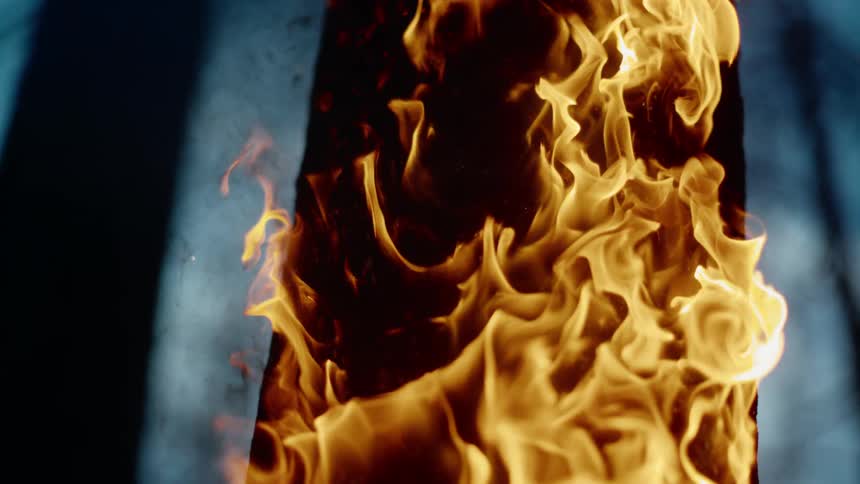 Bottom of tree on fire