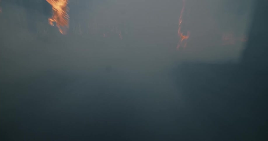 POV travel through burning trees in flames and thick smoke in forest