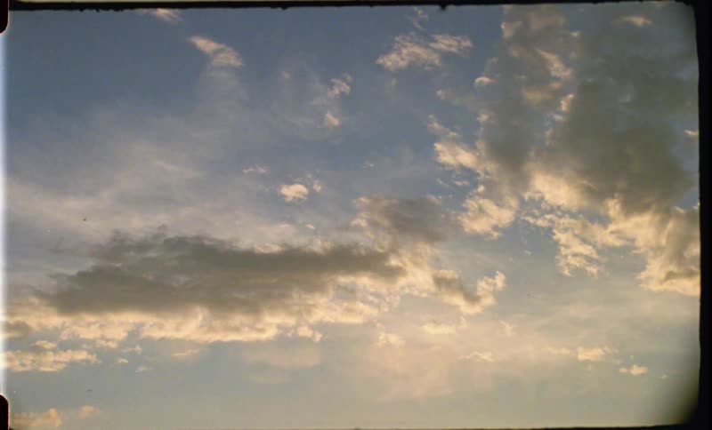 Birds fly across a cloudy sky