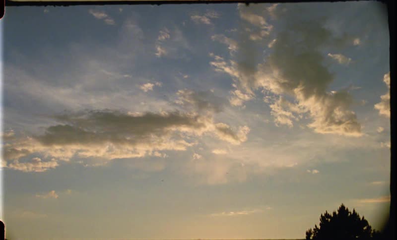A school of small black birds fly through cloudy skies