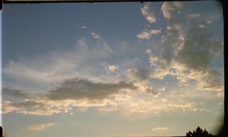 A bird flies across the sky on a cloudy day