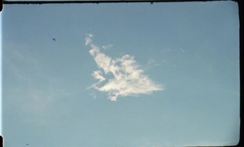 Birds fly across a cloudy sky