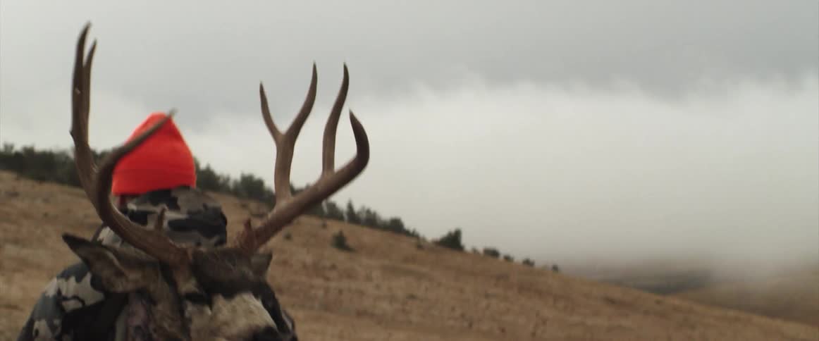 A man wearing the head of a deer on his back in a backpack walking up a hill outdoors in nature at daytime