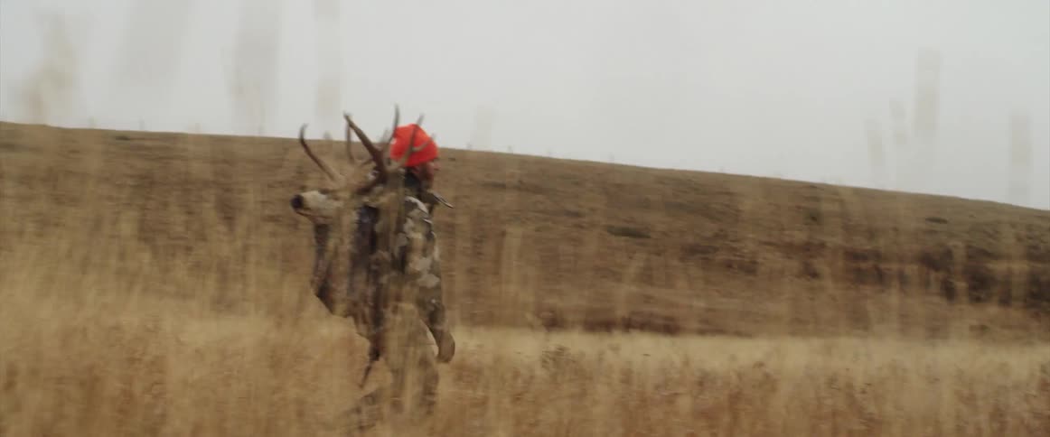 A hunter is walking on the field