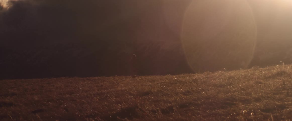 Person walking out in nature on golden grass as a flare of light hits the camera