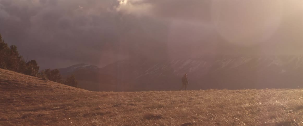 Man walking outdoors in nature on golden grass next to a mountain