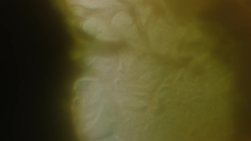 An abstract light image