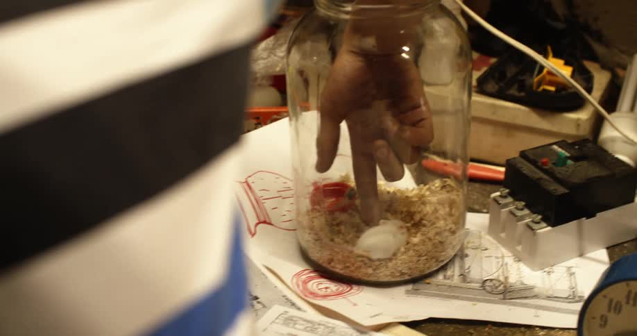 A person uses their finger to touch a white mouse in a jar as it tries to escape the finger