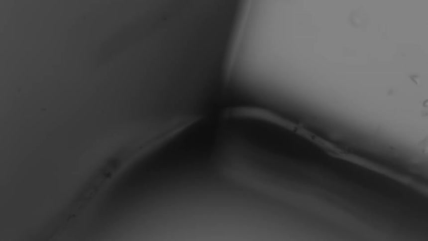 Abstract