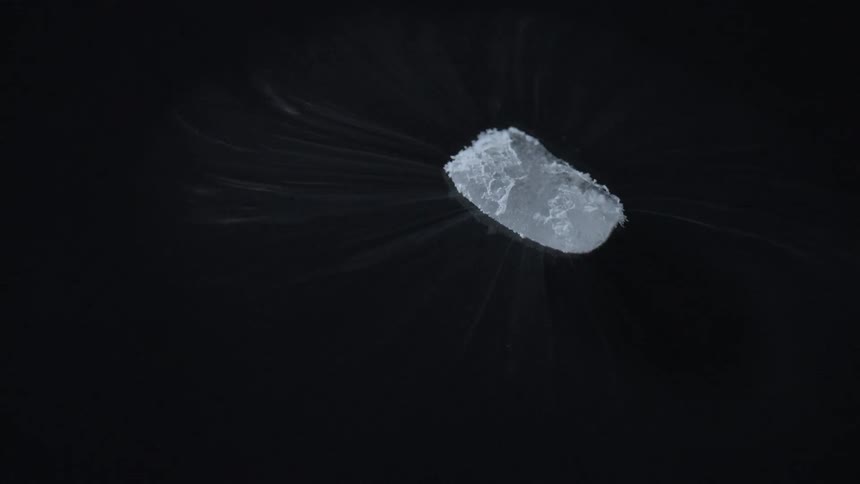 A small white object is breaking down giving off dust