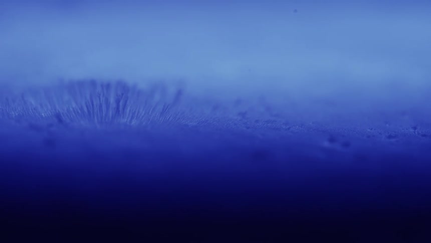Strands rise from the surface