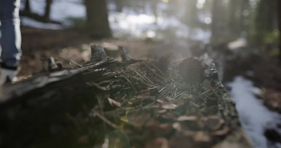 A person walking outdoors in a forest