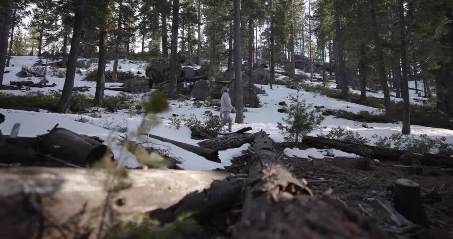 A person is walking through a forest in winter