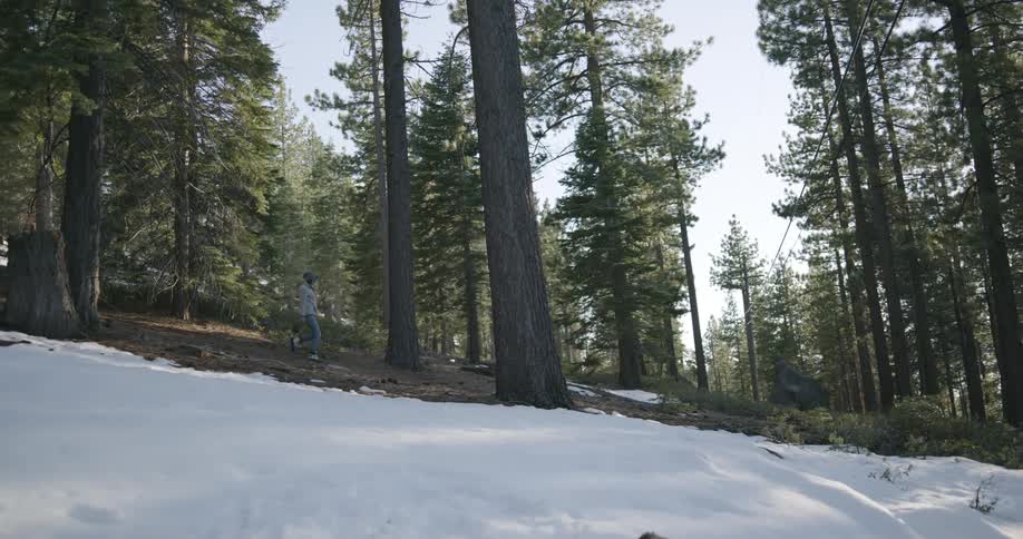 A person is walking through a forest in winter