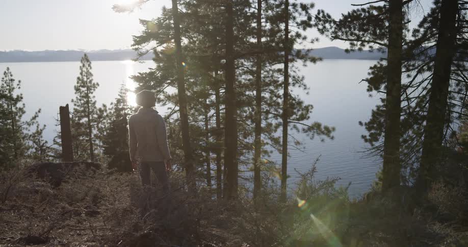 A hiker standing alone next to a forest lake on a sunny day