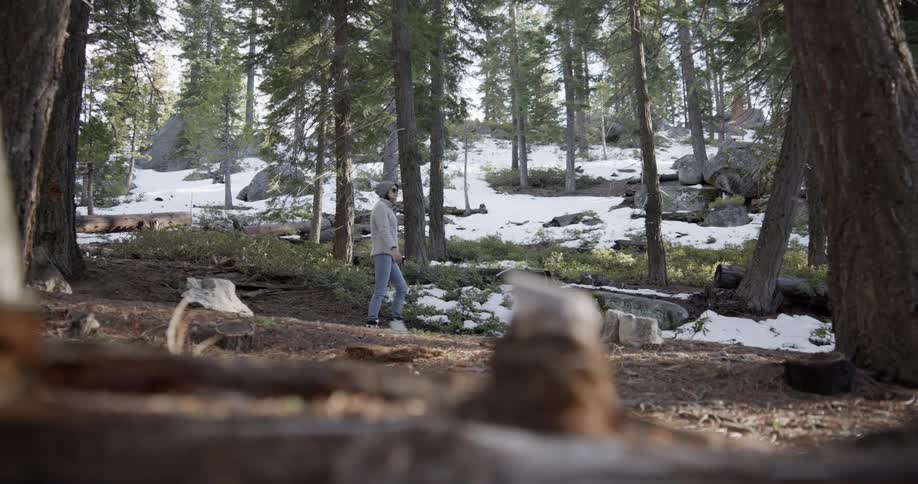 A woman walks through a forest that is partially covered with snow