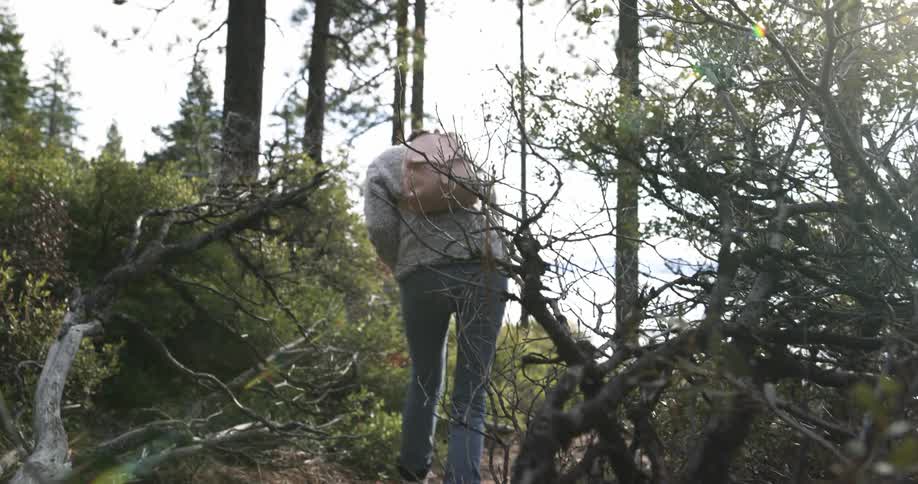Woman steps over fallen tree hiking along trail