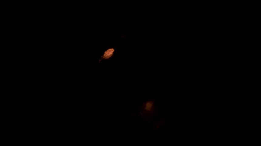 A burning flame in darkness
