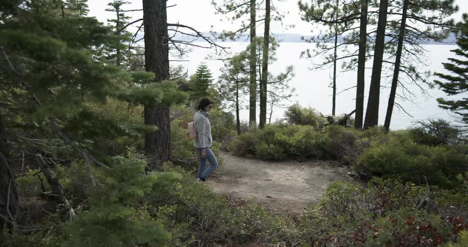 Woman hiking on a trail in the pine tree forest near a lake