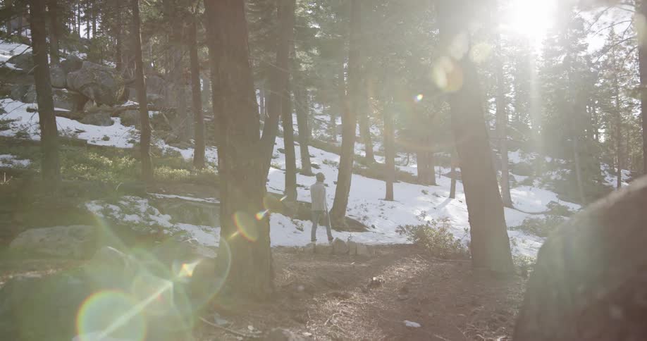 A person walking in the woods with trees the sky and clouds in the background