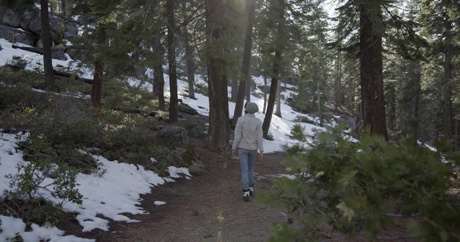 A woman hikes on the trail in the forest