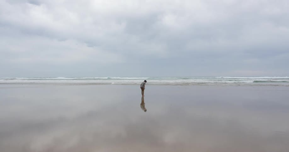 A person walking alone on a wet sandy beach on a cloudy day