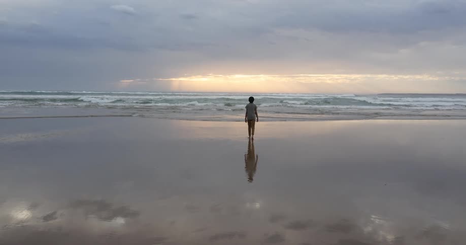 A person is walking on the coast at dusk