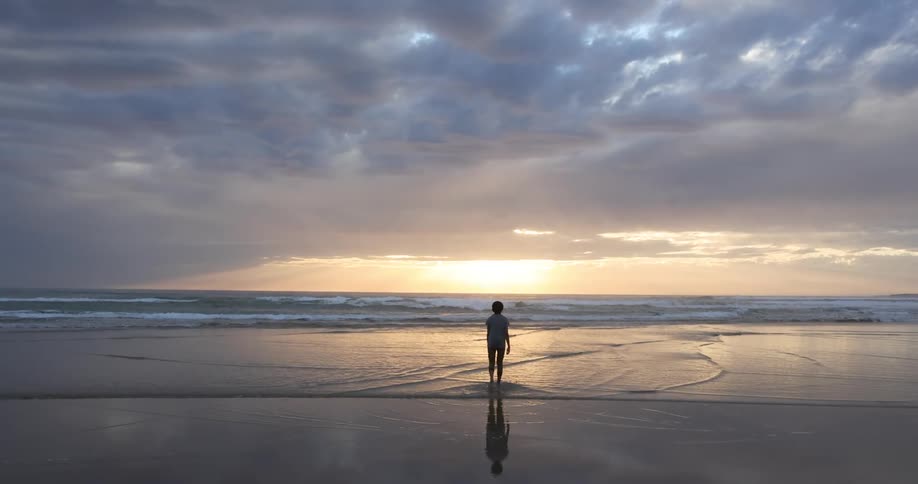 A person standing alone on a sandy beach at sunset
